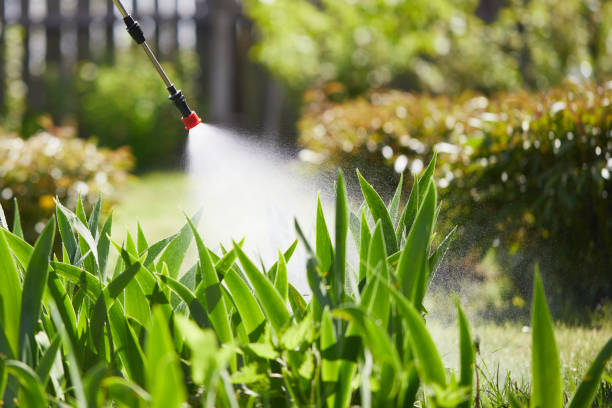 Tamper-Resistant Bait Stations for Rodents in Lake Mathews